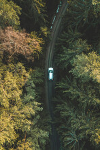 Aerial Top Down View Of Silver Car Driving In Off-road Way In The Forest Near Kaunas, Lithuania.