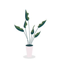 Poster - Houseplant flat color vector object. Decor accessory. Sprucing up workspace. Living room decoration. Growing plants at home isolated cartoon illustration for web graphic design and animation