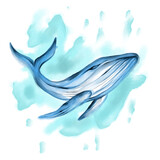 Fototapeta Dziecięca - watercolor whale