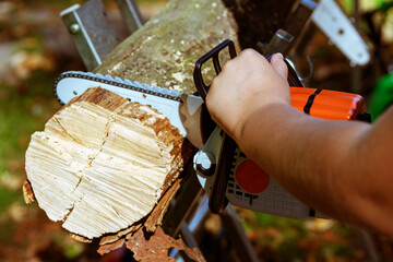 chainsaw, Log, firewood,  hands