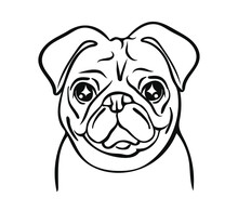 Vector Of Pug Dog Face On White Background, Pet. Animals. Vector Illustration.