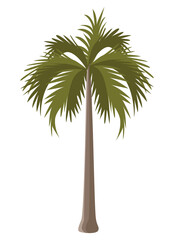 Sticker - summer tree palm