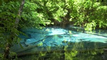 Blue Pool, Turquoise Crystal Clear Spring Hidden In Middle Of Forest, Krabi, Thailand