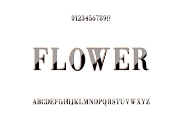 Poster - classic lettering, alphabet font, gray and white style background, typeface vector design