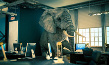 Elephant Sitting Inside An Office. Concept Of Unsolved Problems.