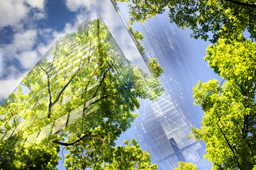 Wall Mural - green city - double exposure of lush green forest and modern skyscrapers windows.