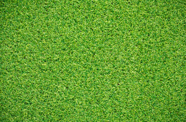 Canvas Print - artificial grass texture for background