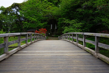  Wooden bridge in traditional Japanese garden from low angle - 日本庭園 木造の橋