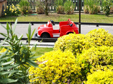 A Small Children's Red Car Stands On A Miniature Road Surrounded By Bright Bushes. Children's Karting Track In The Park