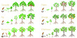 © zxczxc80 - Set of growth cycles of exotic trees on a white background.