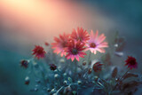 Fototapeta Kwiaty - czerwone kwiaty w porannym słońcu