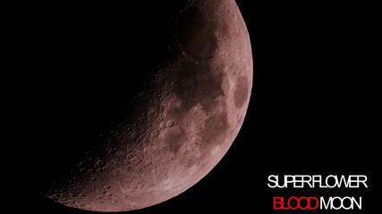 Wall Mural - super flower blood moon close up photo and text