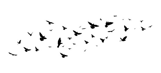 a flock of flying birds. vector illustration