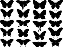 Black Butterfly Silhouettes. Outline Butterflies Romantic Tattoo, Tropical Insects Stencil. Summer And Spring Exotic Symbols Isolated Vector Set. Elegant Wild Flying Moth Of Various Shapes