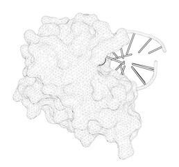 3D rendering as a line drawing of a molecule. Stepwise analyses of metal ions in RNase H catalysis from substrate destabilization to product release.