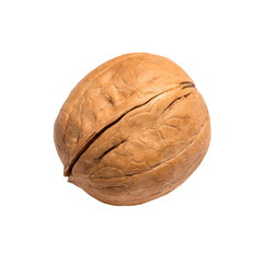 Isolated walnut in shell on white background