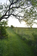 Poster - Fence Row Path