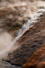 Wall Mural - steaming hot springs and pools in the Lower Geyser Basin in Yellowstone National Park in Wyoming.