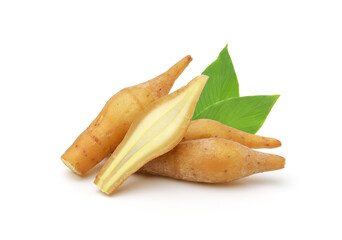 Finger root (Krachai) and half with leaves isolated on white background,Thai herbs,cutout.