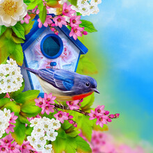 Summer, Spring Colorful Bright Background, A Bird Sits On A Branch Of A Blossoming Tree, Pink, Red, White Flowers, Birdhouse, Sunny Day, 3D Rendering