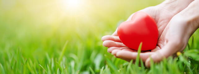 Woman hands holding red heart shape on the green grass background.