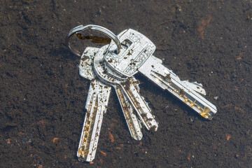 Aufkleber - the fallen keys lie in a puddle on the street. opening the doors.