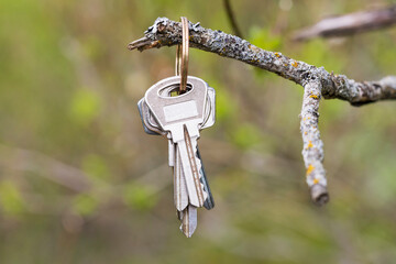 Aufkleber - keys hang clinging to a branch in the woods. loss of opportunity to get home