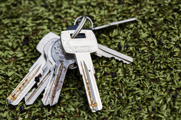 Aufkleber - keys lie on artificial grass. don't get home