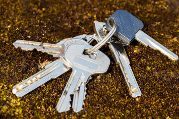 Aufkleber - Lost keys lies on the ground in nature