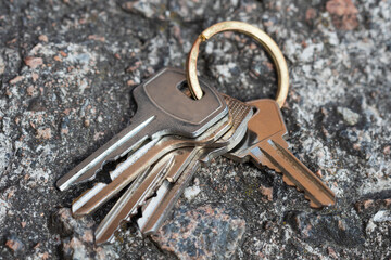 Aufkleber - the keys that have fallen are on the stone. don't get home.