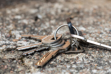 Aufkleber - a lost bunch of keys lies on the ground. View from the side