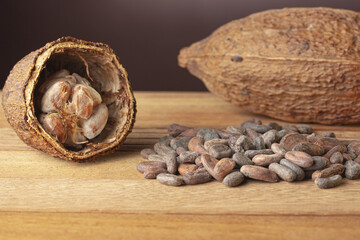 Sticker - Cocoa beans, cocoa pods on wooden board