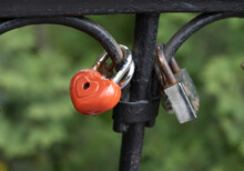 Wedding Locks In The Park Close Up