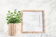 © Olga Zarytska - Wooden square frame and mint plant on white table.