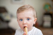 portrait  caucasian baby boy with a biscuit in his mouth