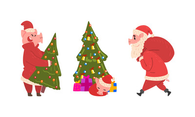 Poster - Pig Christmas Characters in Action Set, Cute Pig Characters in Santa Costume Carrying Red Gift Sack and Xmas Tree Cartoon Vector Illustration