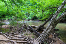 A Stunning Shot Of The Rushing River Water Of Big Creek River With Lush Green Trees And Large Rocks On The Banks And In The Middle Of The River At Vickery Creek In Roswell Georgia