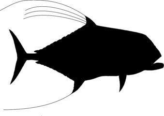 African Pompano Silhouette