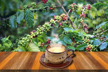 Wall Mural - coffee cup in the coffee garden