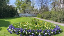 Walking By Display Of Flowers At The Back Of Palace Gardens With A Church In The Background..