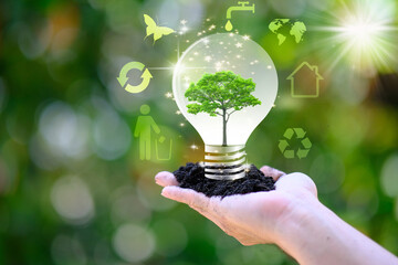 Poster - Human hand holding energy saving light bulb and save world concept, World environment day concept,save world and business eco concept
