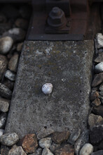 Close Up Of Train Tracks With Stones Between The Sleepers 