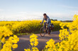 Man riding a bicycle in between canola fields