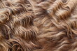 Cow fur wavy hair