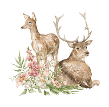 Watercolor Cute Brown Deer And Bouquet With Meadow Flowers, Leaves, Branches. Wild Forest Animal. Woodland Creature.