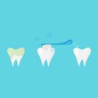 © Евгения Крупель - healthy teeth concept and teeth cleaning
