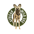 African wild dog, perfect for wild life tshirt design 