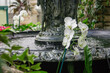 Orchids blossoming at the best of the fountain in the Victorian greenhouse at the Frederik Meijer Gardens
