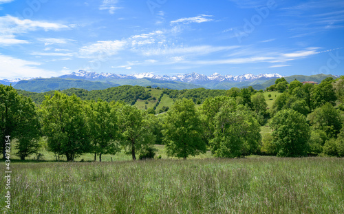 Fototapeta Pireneje  krajobraz-poludniowo-zachodniej-francji-z-pirenejami