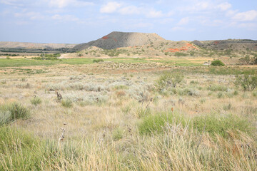 Wall Mural - Arid landscape in western Texas, USA